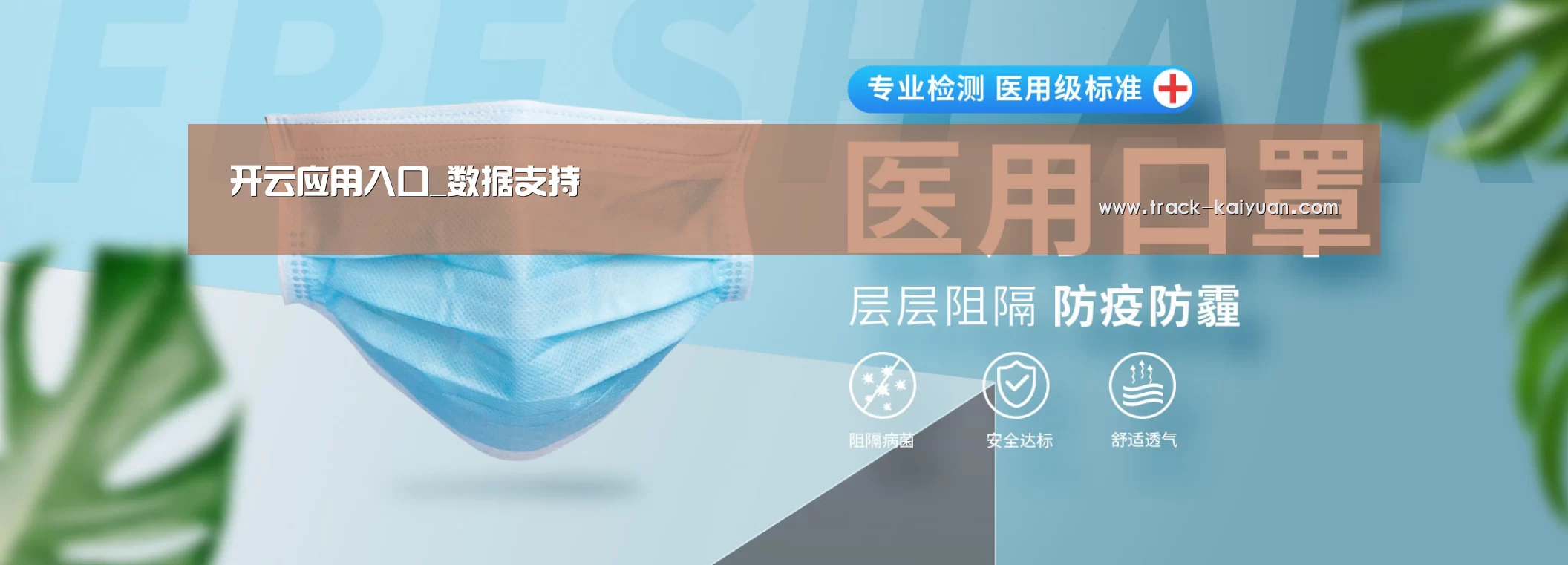 某某口罩防护用品有限公司