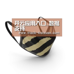成人布口罩