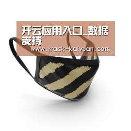 成人布口罩