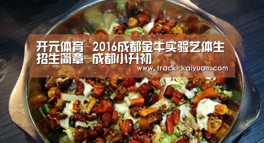 开元体育-2016成都金牛实验艺体生招生简章-成都小升初(图1) 开云体育网站