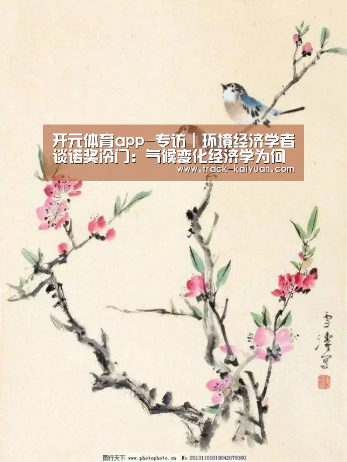 开元体育app-专访|环境经济学者谈诺奖冷门:气候变化经济学为何能获诺贝尔经济学奖(图2) 开元体育app