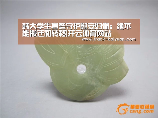 韩大学生寒冬守护慰安妇像:绝不能搬迁和转移|开云体育网站(图3) 开云体育登录