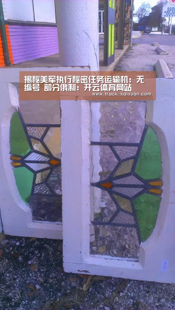 揭秘美军执行秘密任务运输机：无编号 部分俄制：开云体育网站