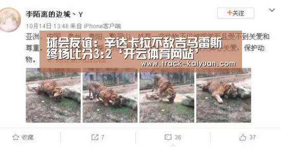 球会友谊: 辛达卡拉不敌吉马雷斯 终场比分3:2‘开云体育网站’(图3) 开元体育